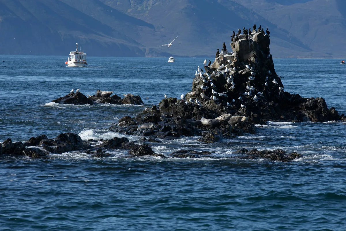 Об экскурсии по Иркутску